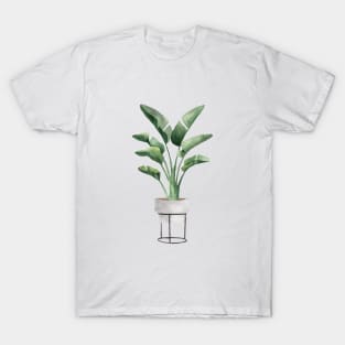 Banana Plant In Pot T-Shirt